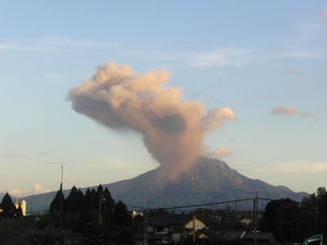 201007D08.jpg