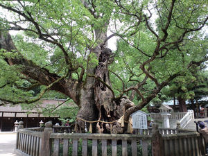 201008D07.jpg