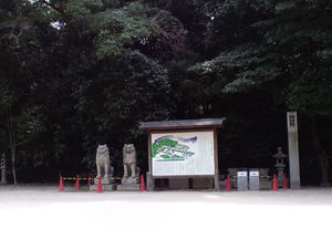 201008D09.jpg