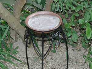 201102G09.jpg